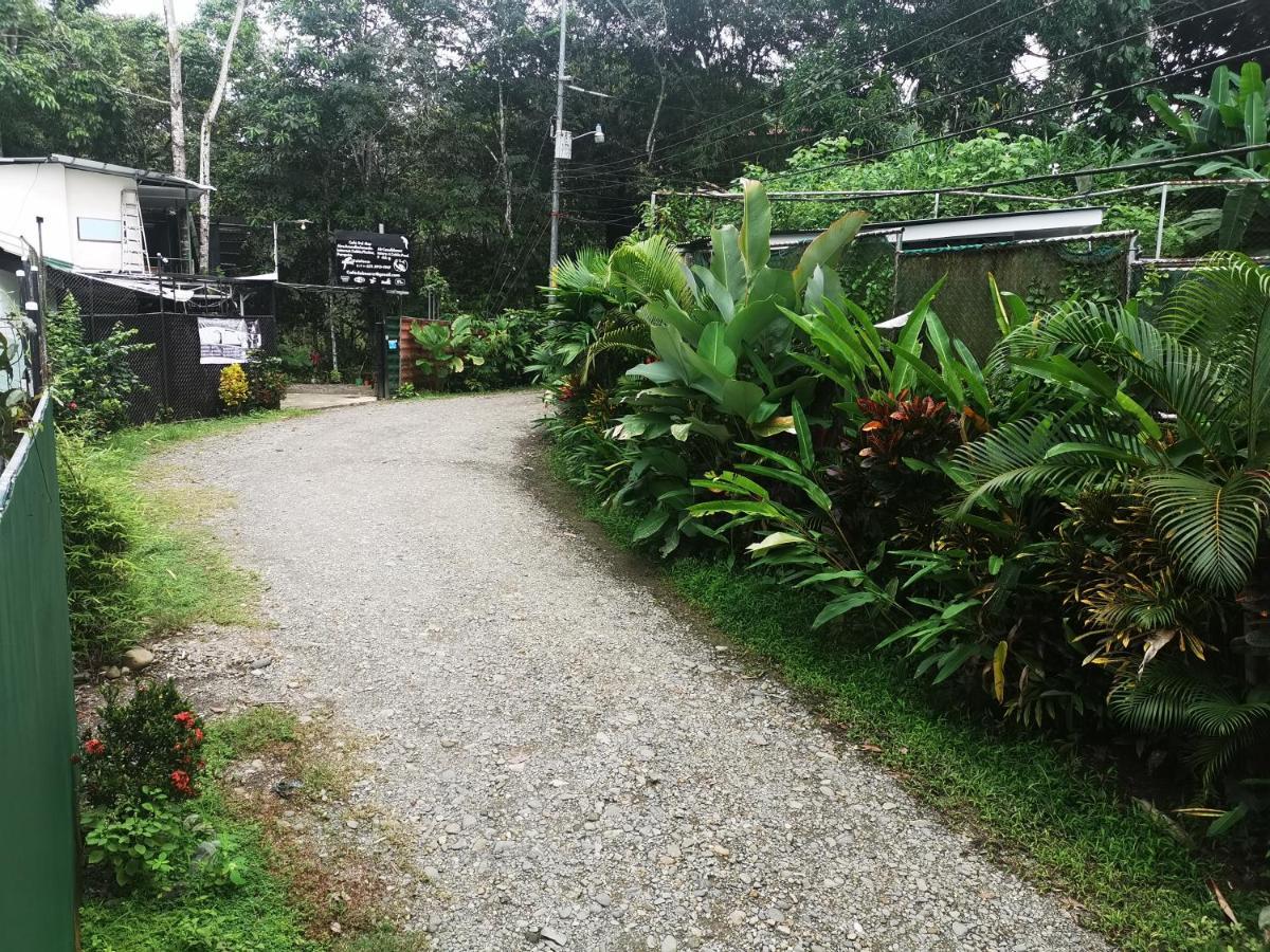 Cabinas Cafe Del Mar Hotel Vườn quốc gia Vườn quốc gia Manuel Antonio Ngoại thất bức ảnh